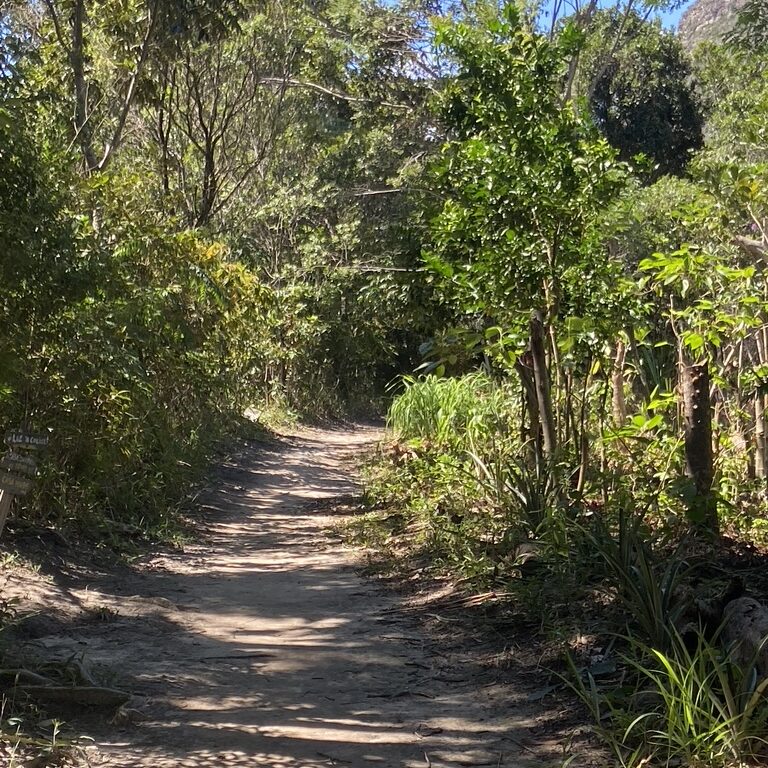 chemin avec des arbres menant à casa verde