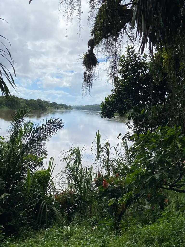 Lac à la Pedra do Sabia entouré de forêts